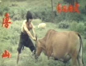 ALAN TANG WITH BULL